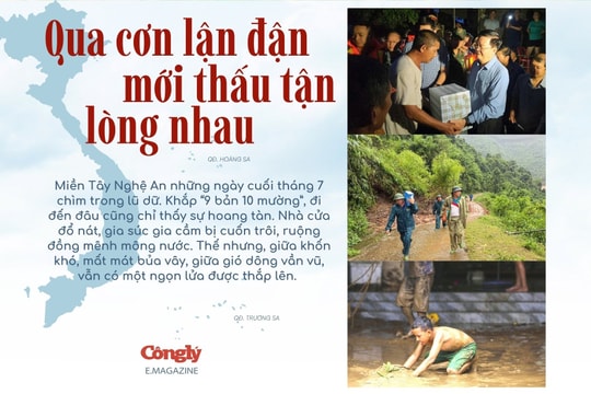 Bài 1: “Qua cơn lận đận mới thấu tận lòng nhau”