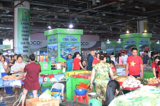 Quảng Ninh chuẩn bị chuỗi sự kiện văn hóa, du lịch hút khách mùa thu đông