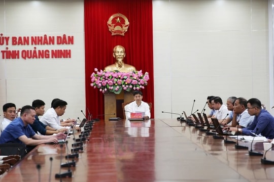 Quảng Ninh tăng cường các biện pháp chống khai thác hải sản IUU