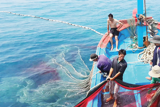 Kế hoạch "6 rõ" hướng tới gỡ cảnh báo “Thẻ vàng” của EC trong năm 2025