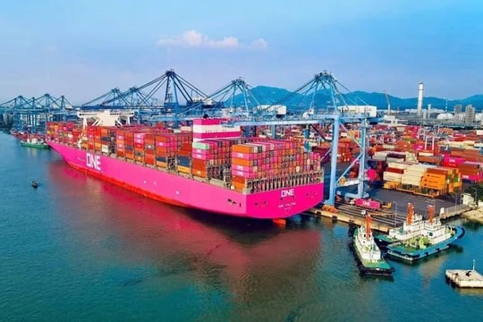 TP.HCM: Vận tải biển lập kỷ lục với hơn 173.000 tàu cập cảng