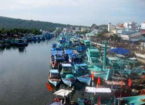 Phạt tù hai thuyền trưởng tàu cá ngắt thiết bị giám sát hành trình