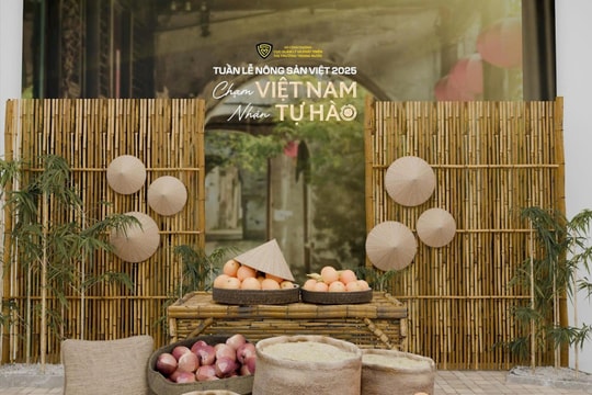 Tổ chức phiên livestream kết nối tiêu thụ cho sản phẩm Gạo ST25