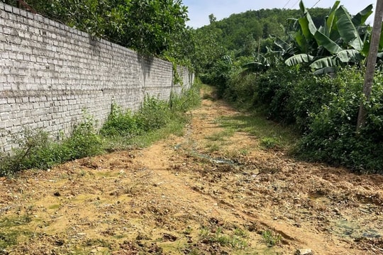 Yêu cầu khắc phục ngay ô nhiễm nước thải trại lợn tràn vào khu dân cư