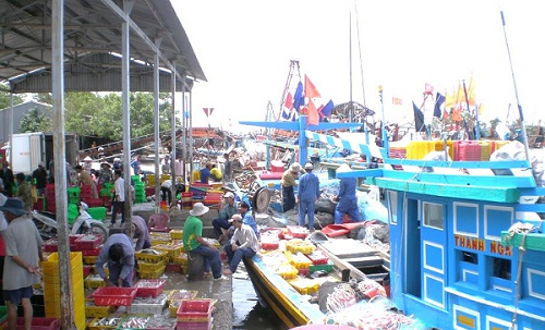 Vĩnh Long: Quyết tâm gỡ “thẻ vàng” IUU và mục tiêu phát triển bền vững