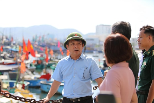 Bí thư Đảng ủy phường Quy Nhơn chỉ đạo quyết liệt công tác chống khai thác hải sản bất hợp pháp