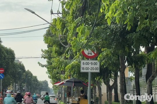 Sở Xây dựng TP. HCM nói về tình trạng biển báo giao thông bị che khuất