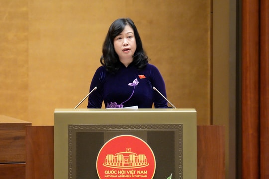 Những điểm chính trong dự thảo Luật Dân số