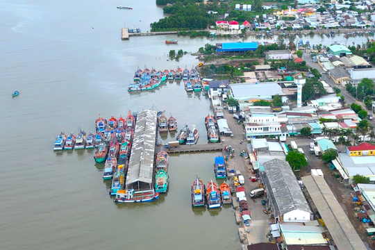 Cần Thơ quyết liệt triển khai “tháng cao điểm” chống khai thác IUU