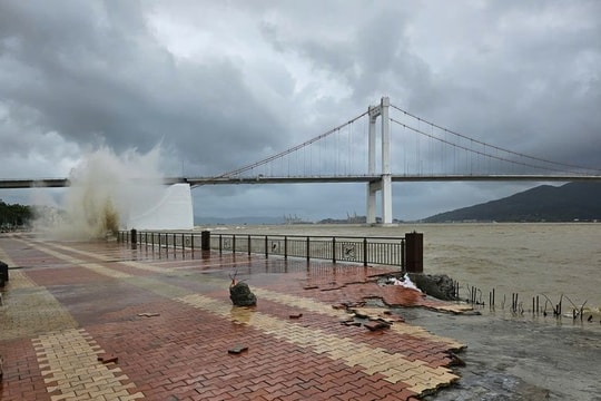 Thủ tướng yêu cầu tập trung ứng phó bão số 12, mưa lũ và sạt lở đất tại Trung Trung Bộ