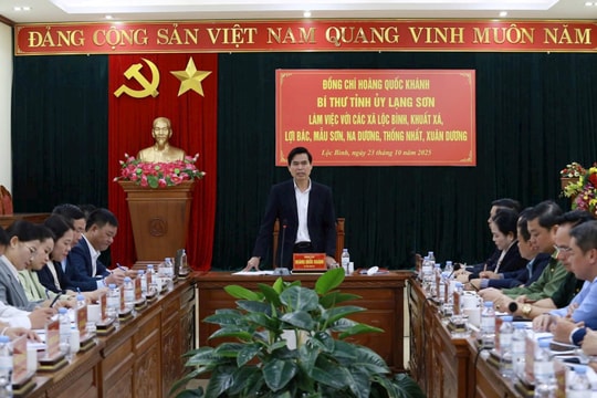 Bí thư Tỉnh ủy Lạng Sơn yêu cầu đẩy mạnh chuyển đổi số trong cải cách hành chính