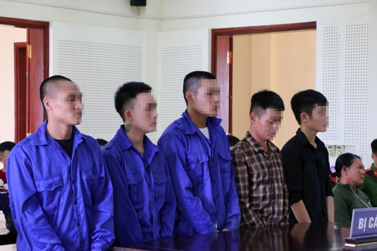 Ngụy trang ma túy trong bắp cải để qua mắt Công an