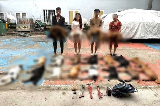 Công an TP. HCM bắt giữ 4 đối tượng tiêu thụ và trộm chó