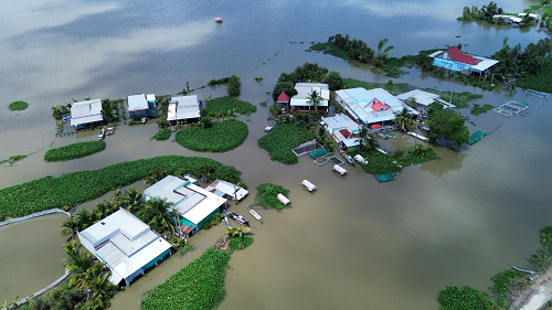 Vùng Đồng Tháp Mười chìm trong biển nước