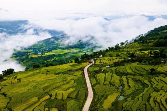 Hồng Thái - từ "nàng thơ" giữa đại ngàn đến điểm sáng của Tuyên Quang