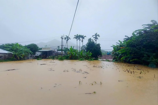 Đà Nẵng: Tập trung ứng phó, khắc phục hậu quả mưa lũ và sạt lở đất