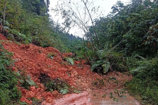 Quảng Ngãi: Mưa lớn gây sạt lở nghiêm trọng, nhiều thôn làng bị cô lập