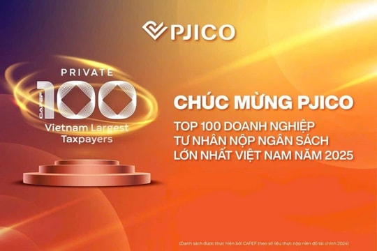PJICO duy trì tăng trưởng ổn định nhờ chiến lược quản trị hiệu quả và an toàn