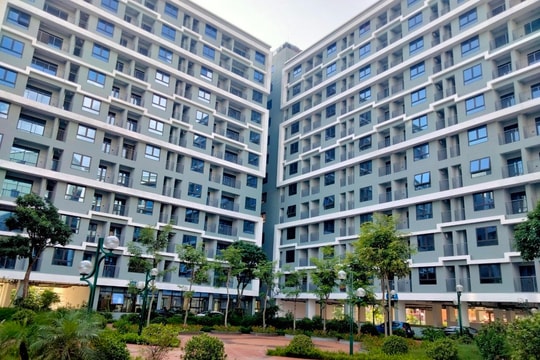 Hà Nội: Sắp mở bán hơn 900 căn nhà ở xã hội CT3 Kim Chung, giới hạn nộp 50 bộ/ngày