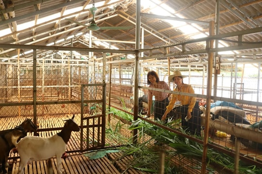 Điện Biên bứt phá giảm nghèo bền vững