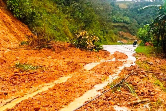 Quảng Ngãi: Hơn 120 điểm sạt lở, di dời hàng trăm hộ dân