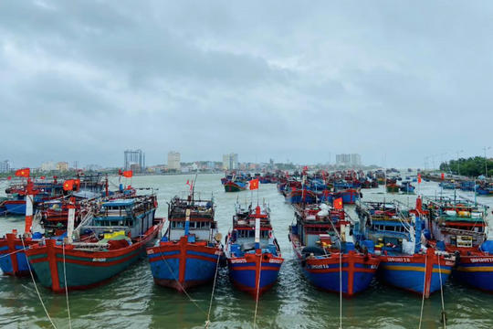 Quảng Trị quyết liệt thực hiện giải pháp chống khai thác IUU, nỗ lực gỡ “thẻ vàng”