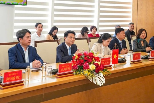 Xúc tiến mở lại và duy trì đường bay Hải Phòng - Thâm Quyến