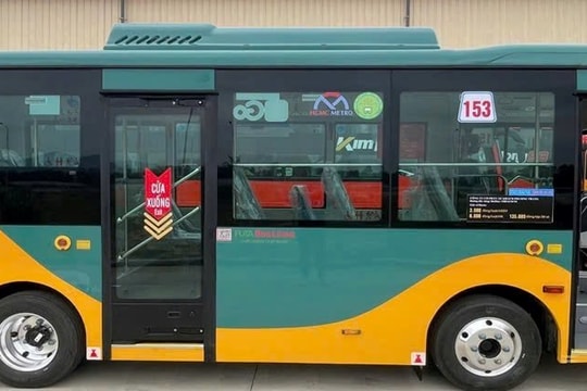 TP.HCM muốn chuyển đổi xe buýt sớm hơn lộ trình Chính phủ