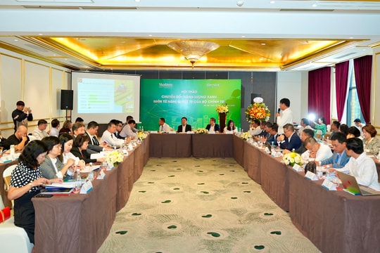 Hướng tới phát triển bền vững: Thúc đẩy chuyển đổi năng lượng xanh