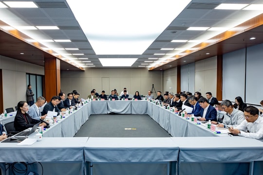 Đèo Cả tìm giải pháp chống ngập úng, ùn tắc giao thông từ quốc tế