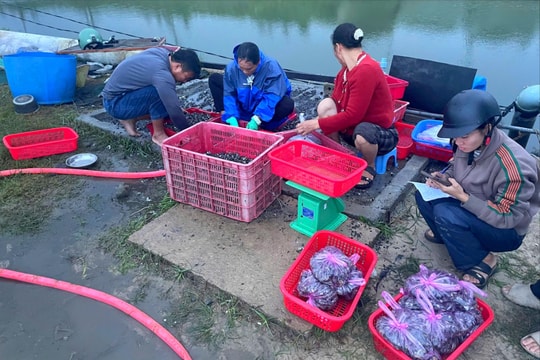 Đảm bảo an toàn và hỗ trợ người dân giảm thiểu thiệt hại trong mưa lũ