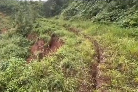 Xuất hiện vệt nứt đất dài 45m, nguy cơ sạt lở cao tại Quảng Ngãi