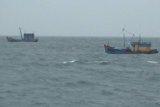 Tạm giữ 2 tàu cá vi phạm quy định khai thác IUU