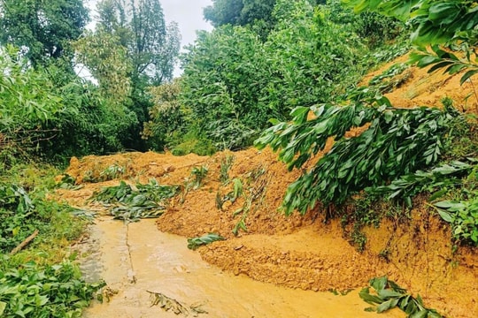 Đà Nẵng: Chính quyền cơ sở chủ động ứng phó, di dời dân khỏi vùng sạt lở