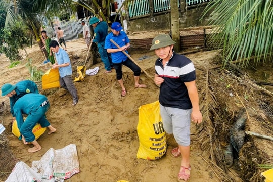 Sạt lở ven sông Thu Bồn đe dọa 50 hộ dân