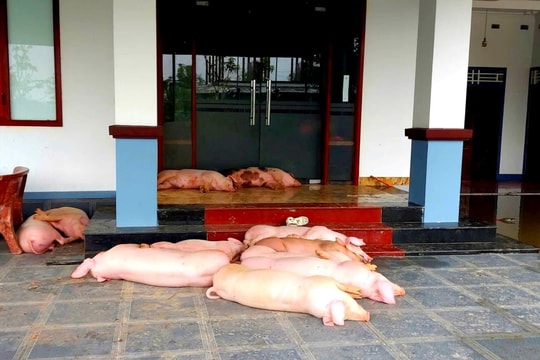 Hà Tĩnh: Mưa giảm, nước rút, toàn tỉnh vẫn còn hơn 4.000 hộ bị ngập