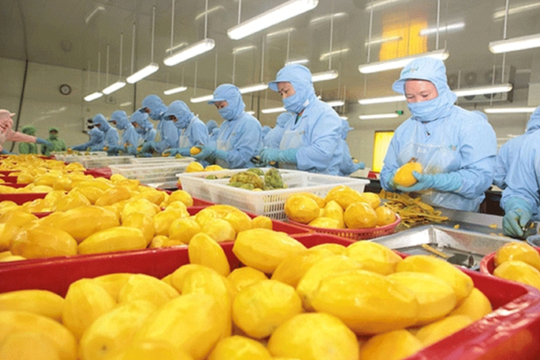 Việt Nam đặt mục tiêu đến năm 2030 đạt kim ngạch xuất khẩu rau quả 8-10 tỷ USD