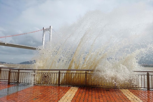 Đà Nẵng chủ động ứng phó với mưa lũ và bão Kalmaegi