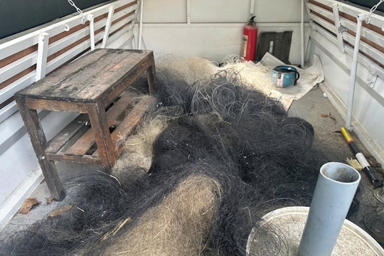 Internet – “chợ đen” của chim hoang dã