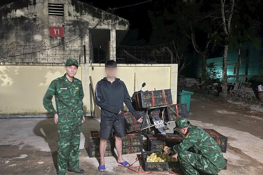 Bắt vụ vận chuyển 1.800 con ngan giống không rõ nguồn gốc