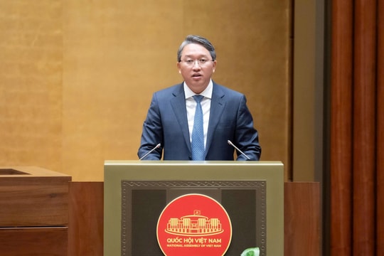 Tăng cường tính minh bạch và trách nhiệm trong hoạt động giám định