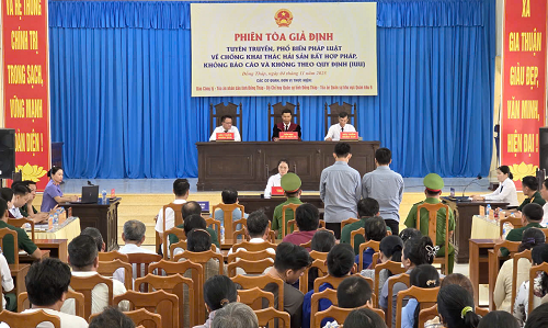 Phiên tòa giả định chống khai thác IUU tại tỉnh Đồng Tháp