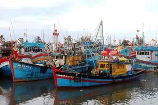 Quảng Ngãi còn 417 tàu/ 4.753 lao động đang hoạt động trên biển