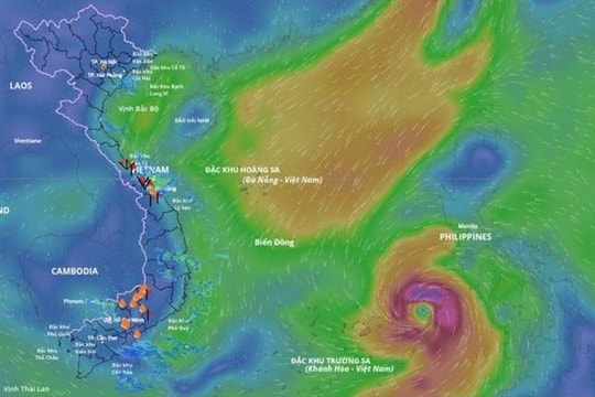 Học sinh các xã, phường phía Đông Gia Lai nghỉ học tránh bão số 13 (Kalmaegi)