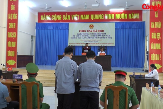 Phiên tòa giả định chống khai thác IUU tại tỉnh Đồng Tháp