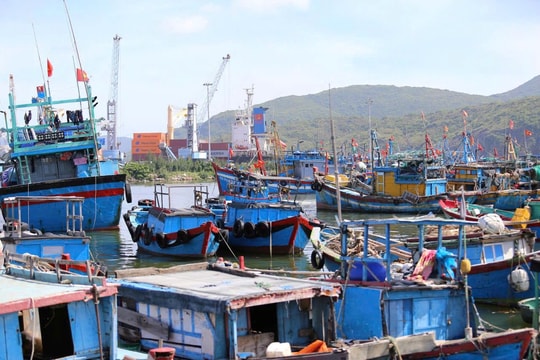 Gia Lai kêu gọi 83 tàu khẩn trương di chuyển ra khỏi vùng nguy hiểm của bão số 13