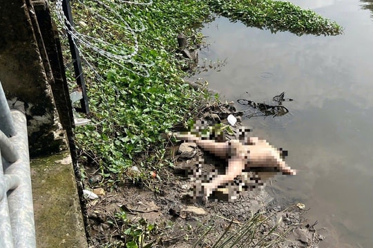 TP.HCM: Phát hiện thi thể tài xế taxi nhảy cầu Sài Gòn