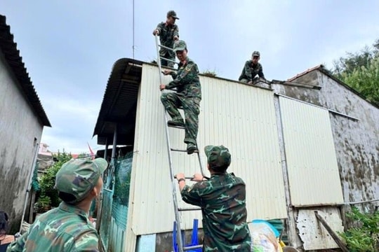 Quảng Ngãi xây dựng kịch bản ứng phó bão số 13 và mưa lũ, sạt lở đất