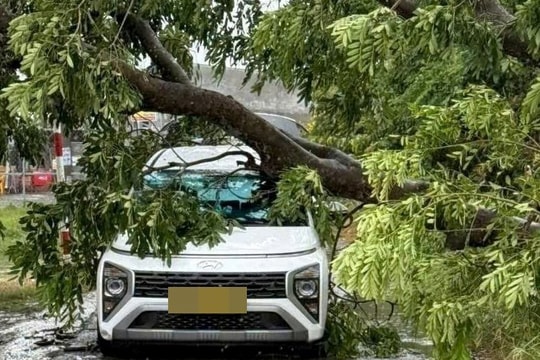 TP.HCM sẵn sàng ứng phó bão Kalmaegi
