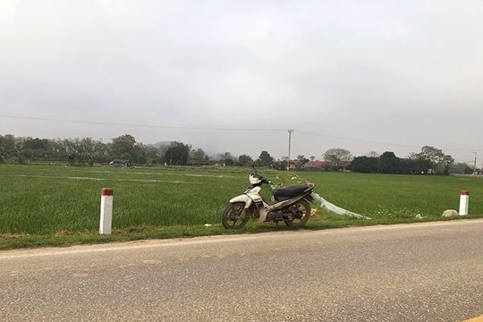 Cảnh báo tình trạng trộm cắp nông sản vào mùa thu hoạch